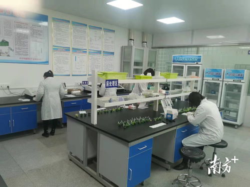 守護(hù)“菜籃子”安全，助力放心消費(fèi)——興寧市場(chǎng)監(jiān)管局食用農(nóng)產(chǎn)品快檢中心正式啟用